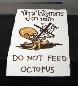 do not feed optopus